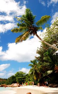 Preview wallpaper beach, sand, palm trees