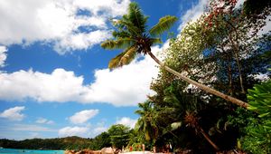 Preview wallpaper beach, sand, palm trees