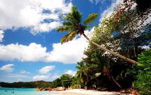 Preview wallpaper beach, sand, palm trees