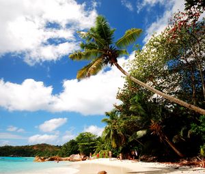 Preview wallpaper beach, sand, palm trees