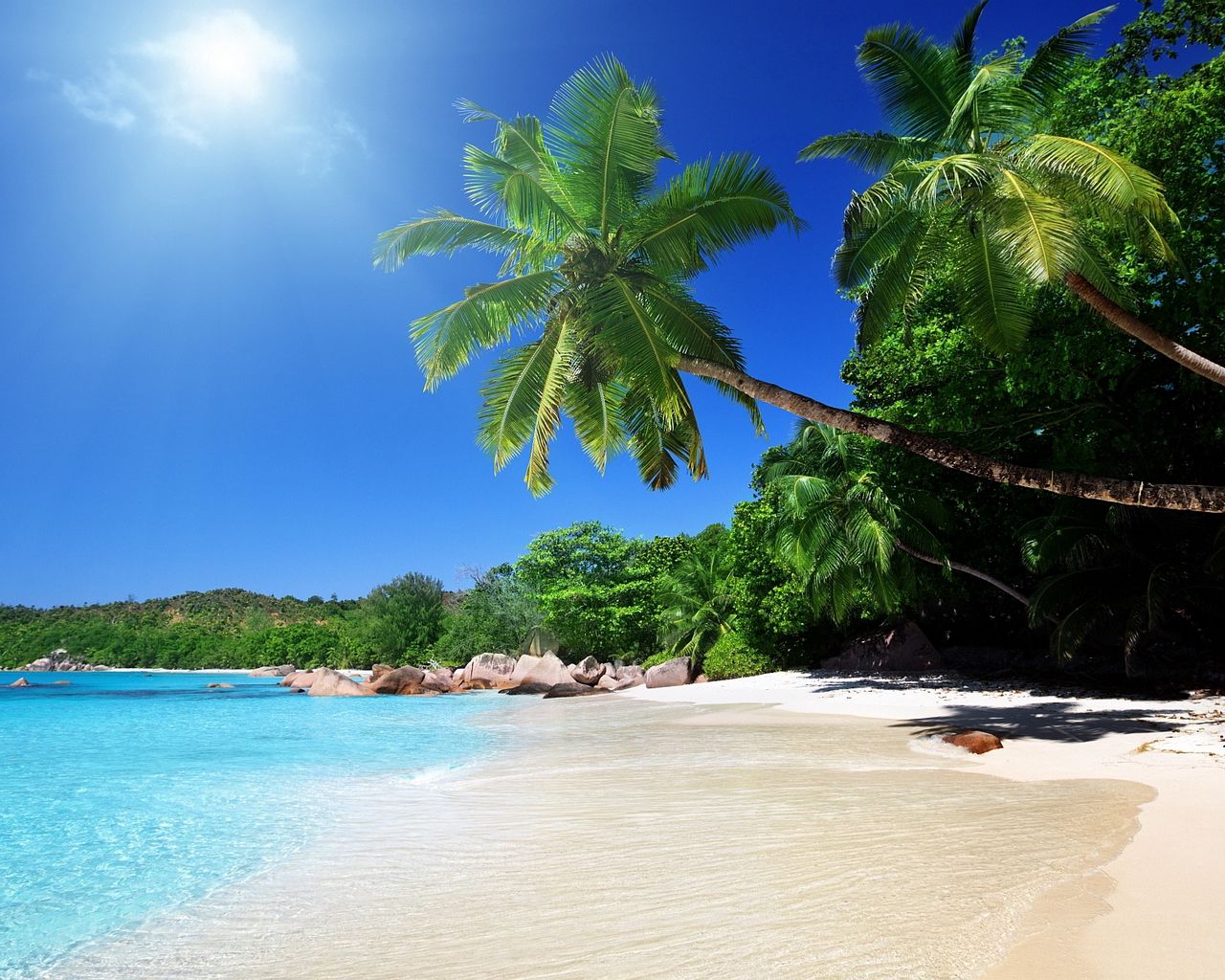 Download wallpaper 1280x1024 beach, sand, palm trees, tropical standard ...