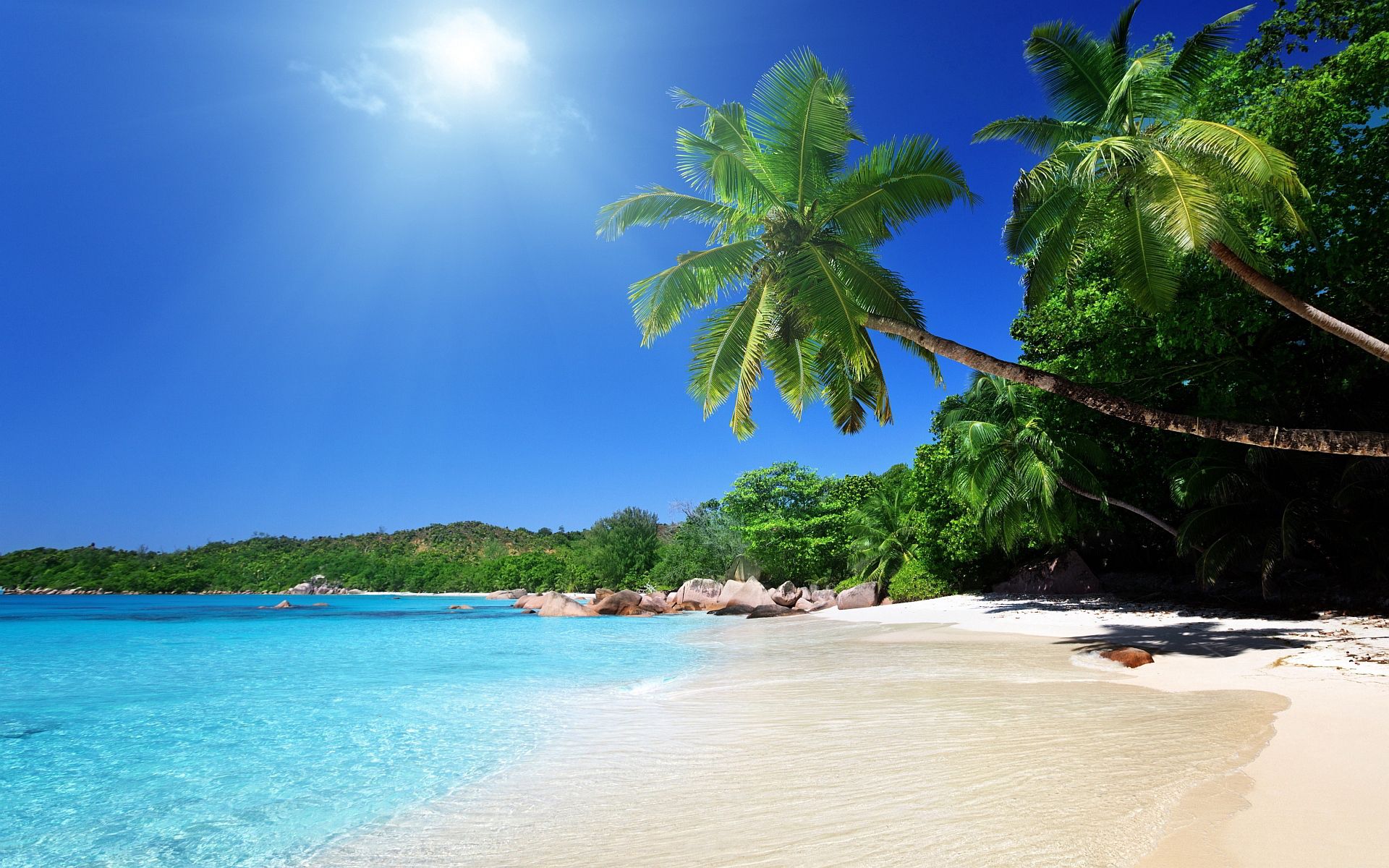 Download wallpaper 1920x1200 beach, sand, palm trees, tropical hd ...