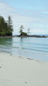 Preview wallpaper beach, sand, sea, trees, landscape