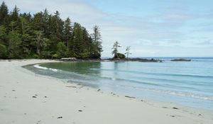 Preview wallpaper beach, sand, sea, trees, landscape