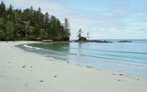 Preview wallpaper beach, sand, sea, trees, landscape