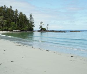 Preview wallpaper beach, sand, sea, trees, landscape