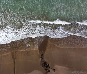 Preview wallpaper beach, sand, sea, aerial view