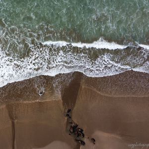 Preview wallpaper beach, sand, sea, aerial view