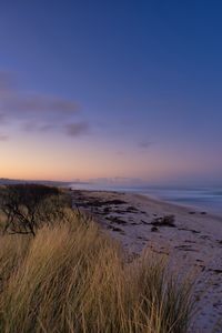 Preview wallpaper beach, sand, sea, coast, dusk