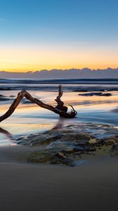 Preview wallpaper beach, sand, sea, log, landscape