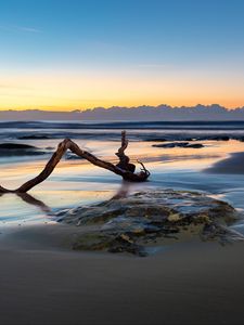 Preview wallpaper beach, sand, sea, log, landscape