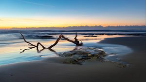 Preview wallpaper beach, sand, sea, log, landscape