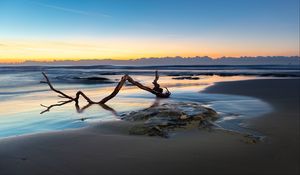 Preview wallpaper beach, sand, sea, log, landscape