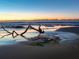 Preview wallpaper beach, sand, sea, log, landscape