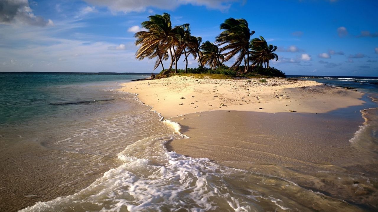 Wallpaper beach, sand, sea, palm