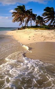 Preview wallpaper beach, sand, sea, palm