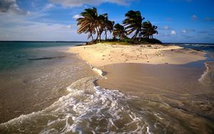 Preview wallpaper beach, sand, sea, palm