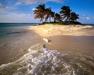 Preview wallpaper beach, sand, sea, palm