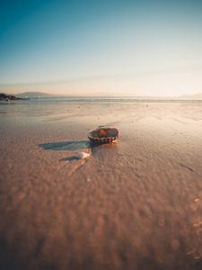 Preview wallpaper beach, sand, shell, macro