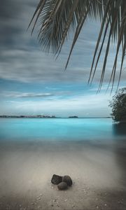 Preview wallpaper beach, sand, stones, palm, branches, horizon