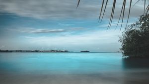 Preview wallpaper beach, sand, stones, palm, branches, horizon