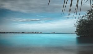 Preview wallpaper beach, sand, stones, palm, branches, horizon