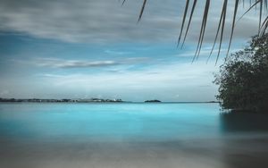 Preview wallpaper beach, sand, stones, palm, branches, horizon