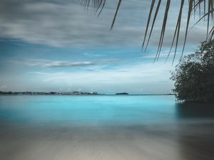 Preview wallpaper beach, sand, stones, palm, branches, horizon