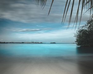 Preview wallpaper beach, sand, stones, palm, branches, horizon