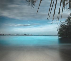 Preview wallpaper beach, sand, stones, palm, branches, horizon