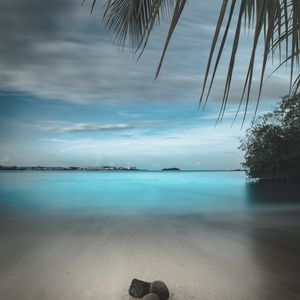 Preview wallpaper beach, sand, stones, palm, branches, horizon