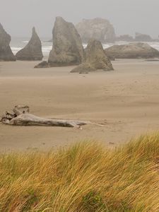 Preview wallpaper beach, sand, stub, storm, stones