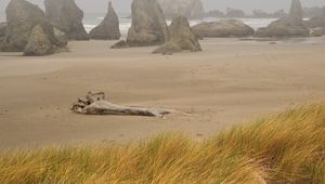 Preview wallpaper beach, sand, stub, storm, stones