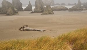 Preview wallpaper beach, sand, stub, storm, stones