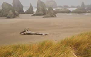 Preview wallpaper beach, sand, stub, storm, stones