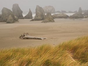 Preview wallpaper beach, sand, stub, storm, stones