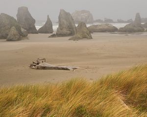 Preview wallpaper beach, sand, stub, storm, stones