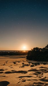 Preview wallpaper beach, sand, sunset, twilight, sun, horizon, bushes