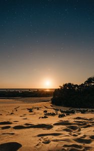 Preview wallpaper beach, sand, sunset, twilight, sun, horizon, bushes