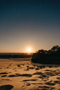 Preview wallpaper beach, sand, sunset, twilight, sun, horizon, bushes