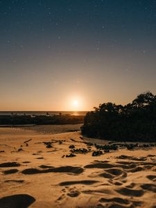 Preview wallpaper beach, sand, sunset, twilight, sun, horizon, bushes