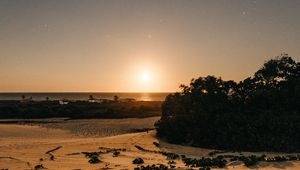 Preview wallpaper beach, sand, sunset, twilight, sun, horizon, bushes