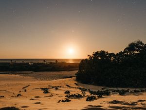 Preview wallpaper beach, sand, sunset, twilight, sun, horizon, bushes