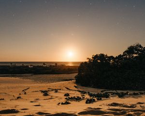 Preview wallpaper beach, sand, sunset, twilight, sun, horizon, bushes