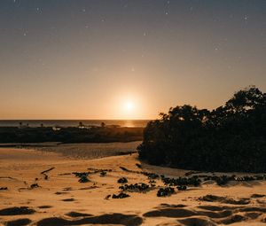 Preview wallpaper beach, sand, sunset, twilight, sun, horizon, bushes