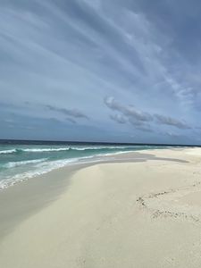 Preview wallpaper beach, sand, tropics, nature