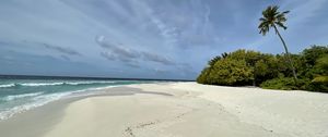 Preview wallpaper beach, sand, tropics, nature