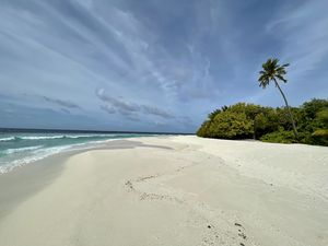 Preview wallpaper beach, sand, tropics, nature