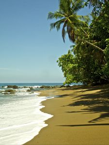 Preview wallpaper beach, sea, foam, palm trees, tropics