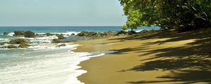 Preview wallpaper beach, sea, foam, palm trees, tropics